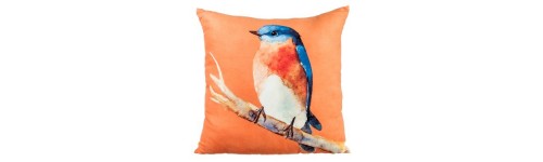 Cushions and cushion covers